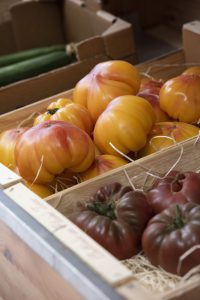 Tomates anciennes